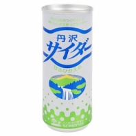 【まとめ買い】丹沢サイダー (250ml×30本入り)